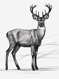 sketch of a deer  minimal rough sketch scribbles,doodles,black and white