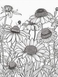 Echinacea coloring page sheet - Echinacea flowers blooming in a sunny garden corner.  black outline printable coloring page