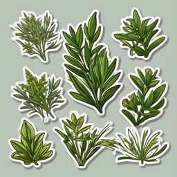 Tarragon Sticker - Enhance your culinary creations with the bittersweet and anise-like flavor of tarragon, , sticker vector art, minimalist design