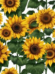 Sunflower clipart - Vibrant sunflower in full bloom, ,vector color clipart,minimal