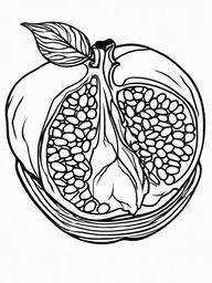 Fruit Coloring Pages - Pomegranate split open showing seeds  simple coloring pages