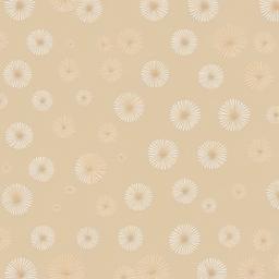 Beige Background Wallpaper - cute beige background  