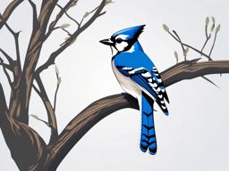 Blue Jay Clipart - Blue Jay perched on a tree branch , minimal, 2d