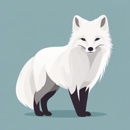 Arctic Fox Clip Art - Arctic fox with a thick white coat,  color vector clipart, minimal style