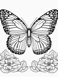 Realistic Butterfly Coloring Pages - Detailed Illustrations of Nature’s Beauty  minimal black outline printable sheet, coloring page