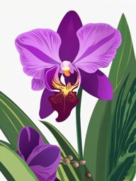 Orchid Clip Art - A purple orchid in all its exotic beauty,  color vector clipart, minimal style