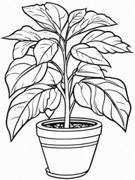 Plant Coloring Pages - Plant with roots  simple coloring pages