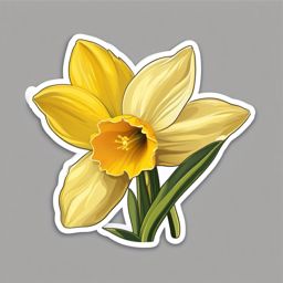 Daffodil Sticker - Welcome the arrival of spring with the sunny and trumpet-shaped daffodil sticker, , sticker vector art, minimalist design