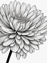 drawing of aster flower  minimal rough scribbles,doodles,black and white