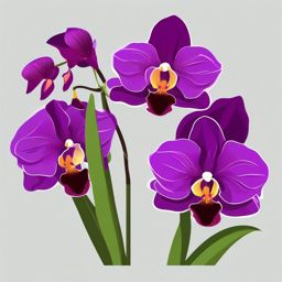 Vanda Orchid Clip Art - Exquisite vanda orchids in vibrant hues,  color vector clipart, minimal style