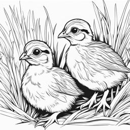 quail chicks cute animals coloring page 