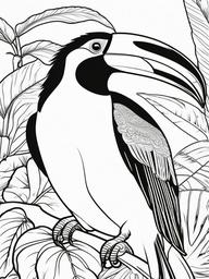 Toucan Coloring Pages - Big Beaked Tropical Bird  minimal black outline printable sheet, coloring page