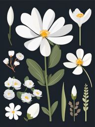 Arctic White Dryas Clip Art - White dryas blossoms in the Arctic region,  color vector clipart, minimal style