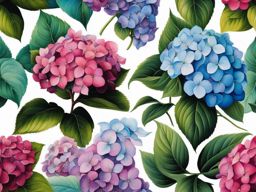 Hydrangea tattoo, Tattoos featuring the vibrant and iconic hydrangea flower.  vivid colors, white background, tattoo design