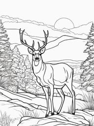 Deer Coloring Pages - Deer standing gracefully on a hilltop  simple coloring pages