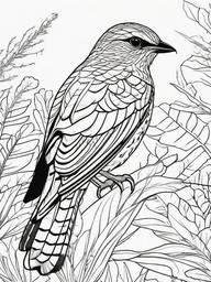 Nightjar Coloring Pages - Camouflaged Nocturnal Bird  minimal black outline printable sheet, coloring page