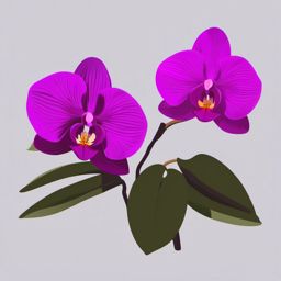 Orchid Clip Art - A purple orchid in all its exotic beauty,  color vector clipart, minimal style