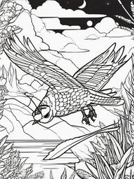 Nighthawk Coloring Pages - Nighttime Flying Insect Eater  minimal black outline printable sheet, coloring page