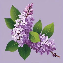 Lilac Clip Art - A fragrant lilac branch with purple blossoms,  color vector clipart, minimal style