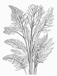 Vegetable Coloring Pages - Fennel bulb with fronds  simple coloring pages