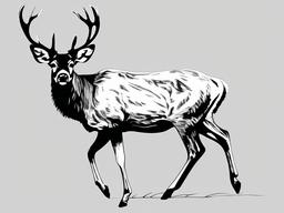 drawings of deer  minimal rough sketch scribbles,doodles,black and white