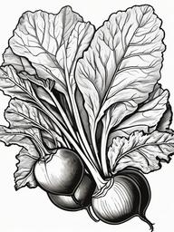 Vegetable Coloring Pages - Beetroot with leafy greens  simple coloring pages