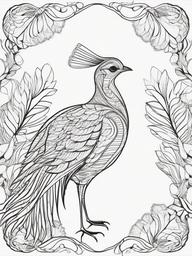 Lyrebird Coloring Pages - Bird with Beautiful Tail Feathers  minimal black outline printable sheet, coloring page