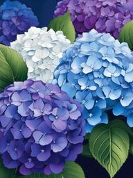 Floral Hydrangeas - Lush clusters of blue and purple hues.  outling,coloring pages,black and white