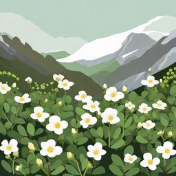 Mountain Common Scurvygrass Clip Art - Common scurvygrass in mountain terrain,  color vector clipart, minimal style