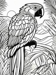 Parrot Coloring Page - Colorful Tropical Flyer  black outline printable coloring page