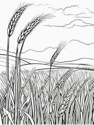 Plant Coloring Pages - Wheat field with tall golden stalks  simple coloring pages