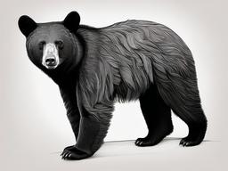 drawing of a Mexican black bear  minimal rough sketch scribbles,doodles,black and white