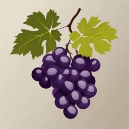 Grape Clipart - Bunch of plump grapes on the vine.  color vector clipart, minimal style