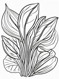 Vegetable Coloring Pages - Bunch of spinach leaves  simple coloring pages