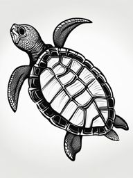 turtle clipart 