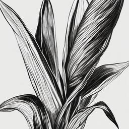 sketch of corn  minimal rough sketch scribbles,doodles,black and white