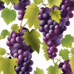 grapes clipart - a bunch of plump grapes ready for harvest 