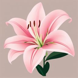 Lily Clip Art - An elegant pink lily with delicate petals,  color vector clipart, minimal style