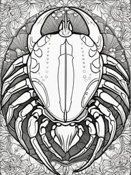 Horseshoe Crab Coloring Pages - Ancient Hard Shelled Sea Creature  black outline printable sheet, coloring page