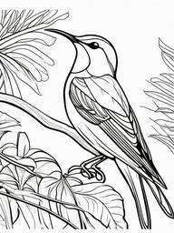 Sunbird Coloring Pages - Nectar Feeding Tropical Bird  minimal black outline printable sheet, coloring page