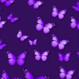 Purple Background Wallpaper - purple butterfly wallpaper aesthetic  