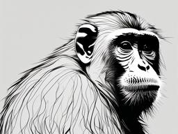 drawing of a Japanese macaque  minimal rough sketch scribbles,doodles,black and white