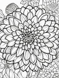 Dahlia coloring page sheet - Large dahlias blooming with intricate petals in a garden bed.  black outline printable coloring page