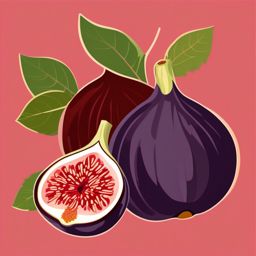 Fig Clipart - Fresh fig fruit with its unique shape.  color vector clipart, minimal style