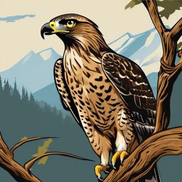 Hawk clipart - Agile predator with keen eyesight in flight, ,color clipart vector style