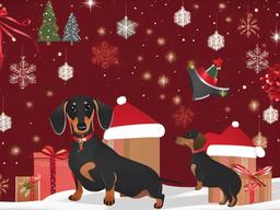 Christmas Dachshund Wallpaper  