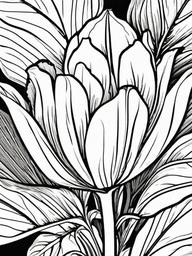 Vegetable Coloring Pages - Radicchio with red leaves  simple coloring pages