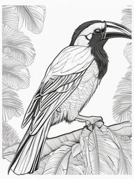 Hornbill Coloring Pages - Large Beaked Tropical Bird  minimal black outline printable sheet, coloring page