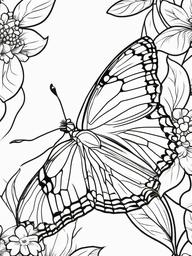 Butterfly on a Butterfly Bush Coloring Pages - Butterfly Feeding on Blossoms  minimal black outline printable sheet, coloring page