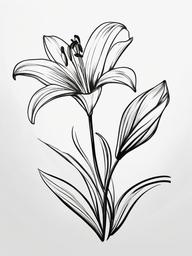 sketch of lily flower  minimal rough sketch scribbles,doodles,black and white